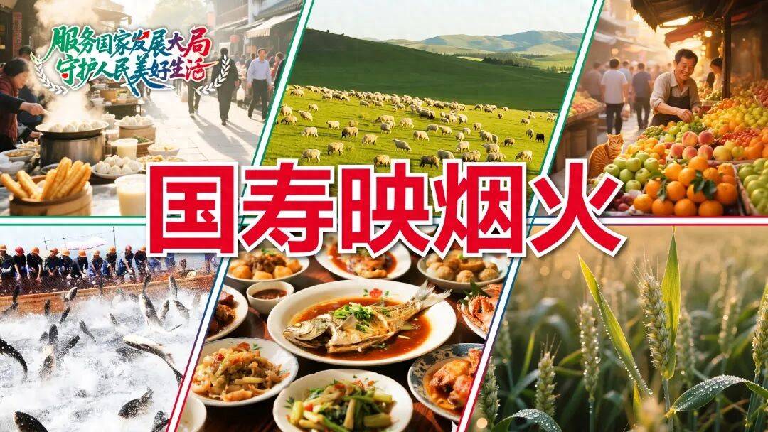 烟火 一粒咖啡豆的云南奇旅CQ9电子专用平台国寿映(图4)